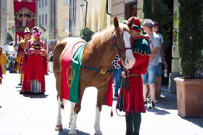 Bollatura 19-06-2026 - 175