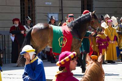 Bollatura 19-06-2026 - 221