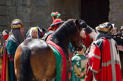 Bollatura 19-06-2026 - 226