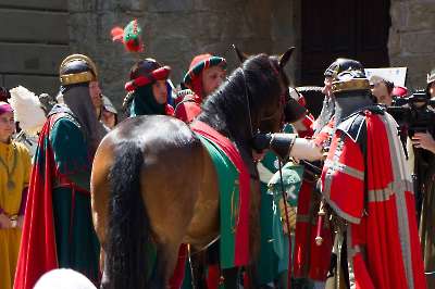 Bollatura 19-06-2026 - 227
