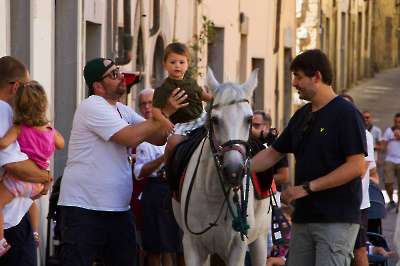 Estrazione carriere 30-08-2026 - 369