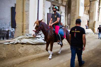 Prove 02-98-2026 - 017