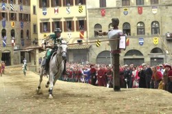 Saracino 15