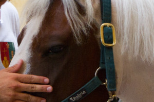 2025-09-01-prove-135